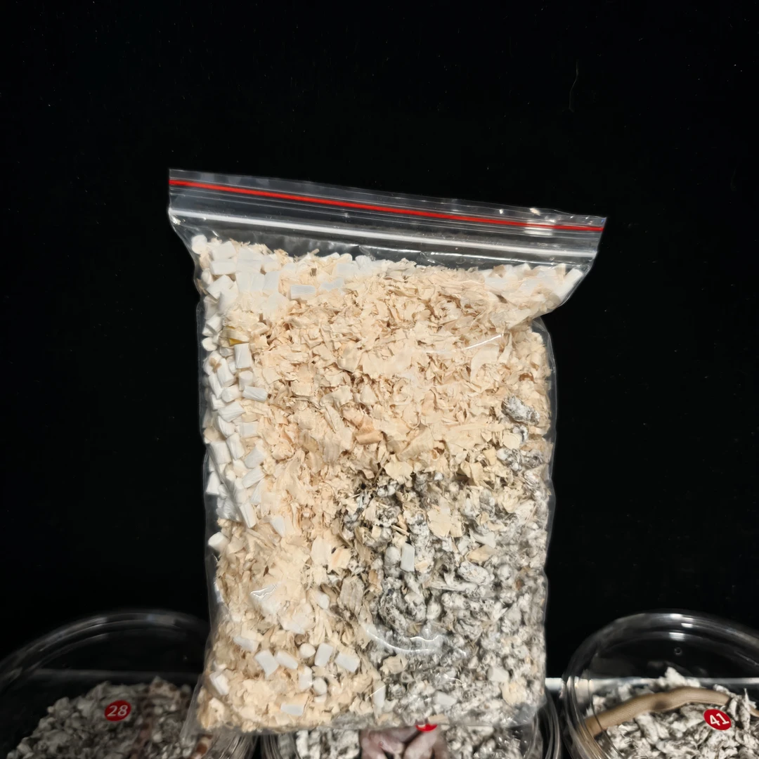 宠物蛇除臭垫材500g 除臭效果好
