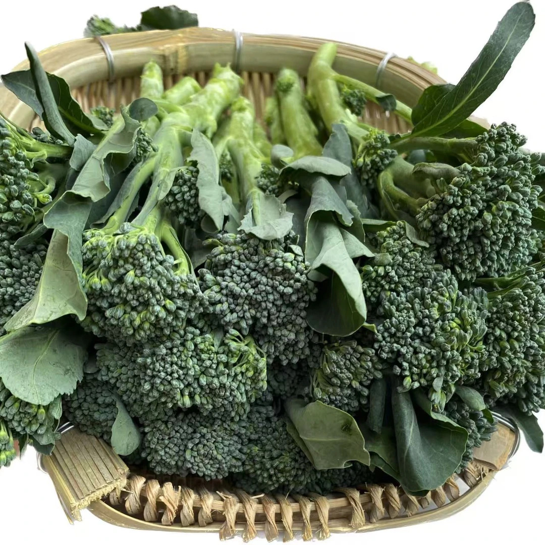顺丰包邮云南新鲜西兰苔芥兰花菜现摘现发新鲜蔬菜纯天然产地直销