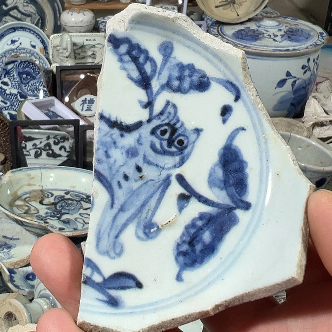 瓷片瓷片标本，全场包邮