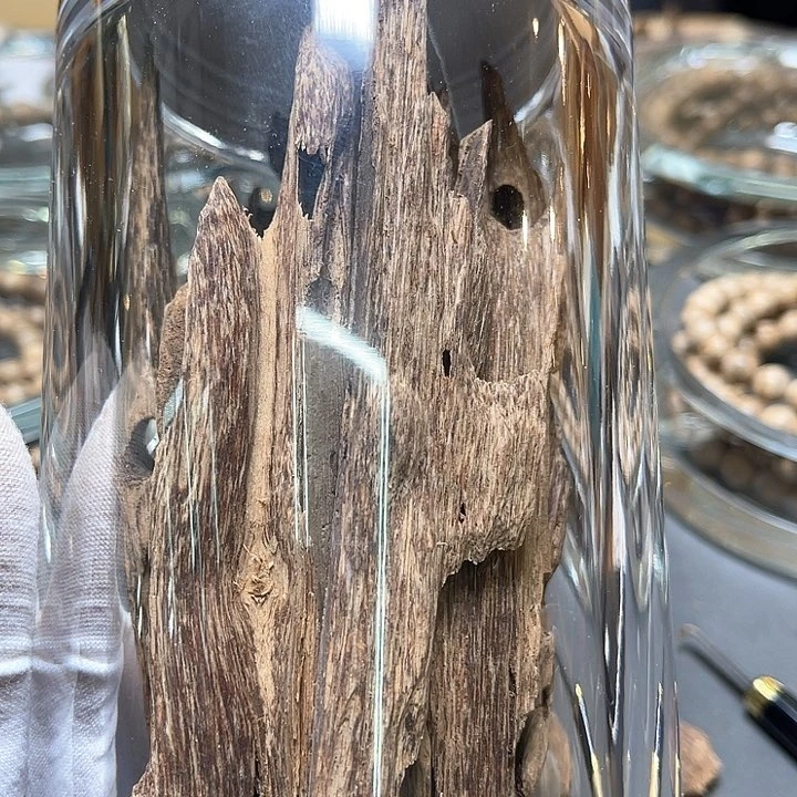 小叶紫檀其他50克虫漏