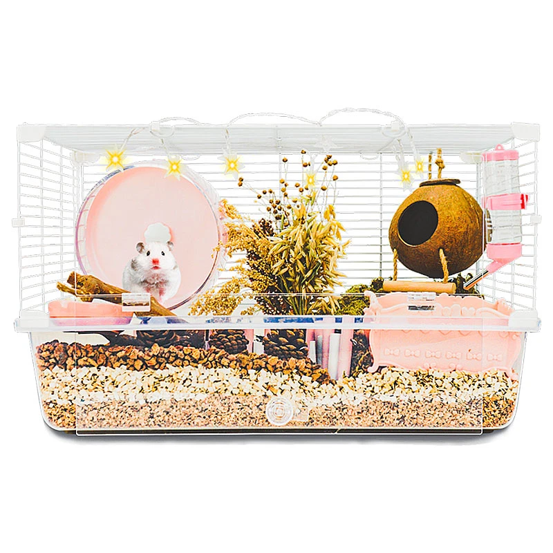 直播间专属特 熊熊 笼  眼线巧克力