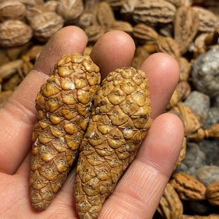 桃核吊坠娜姐真的105