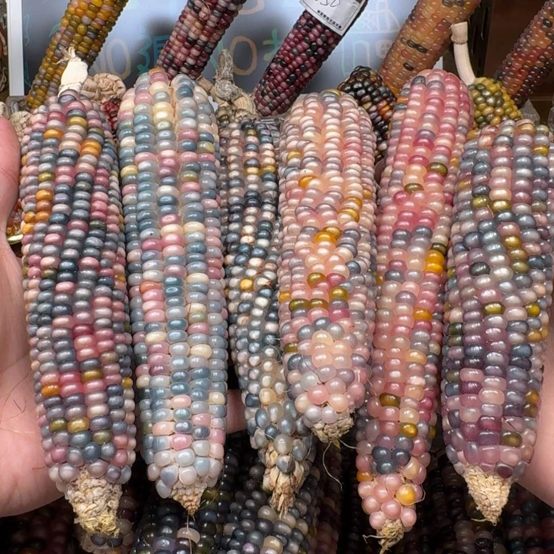 柏香籽/百香籽吊坠星****r