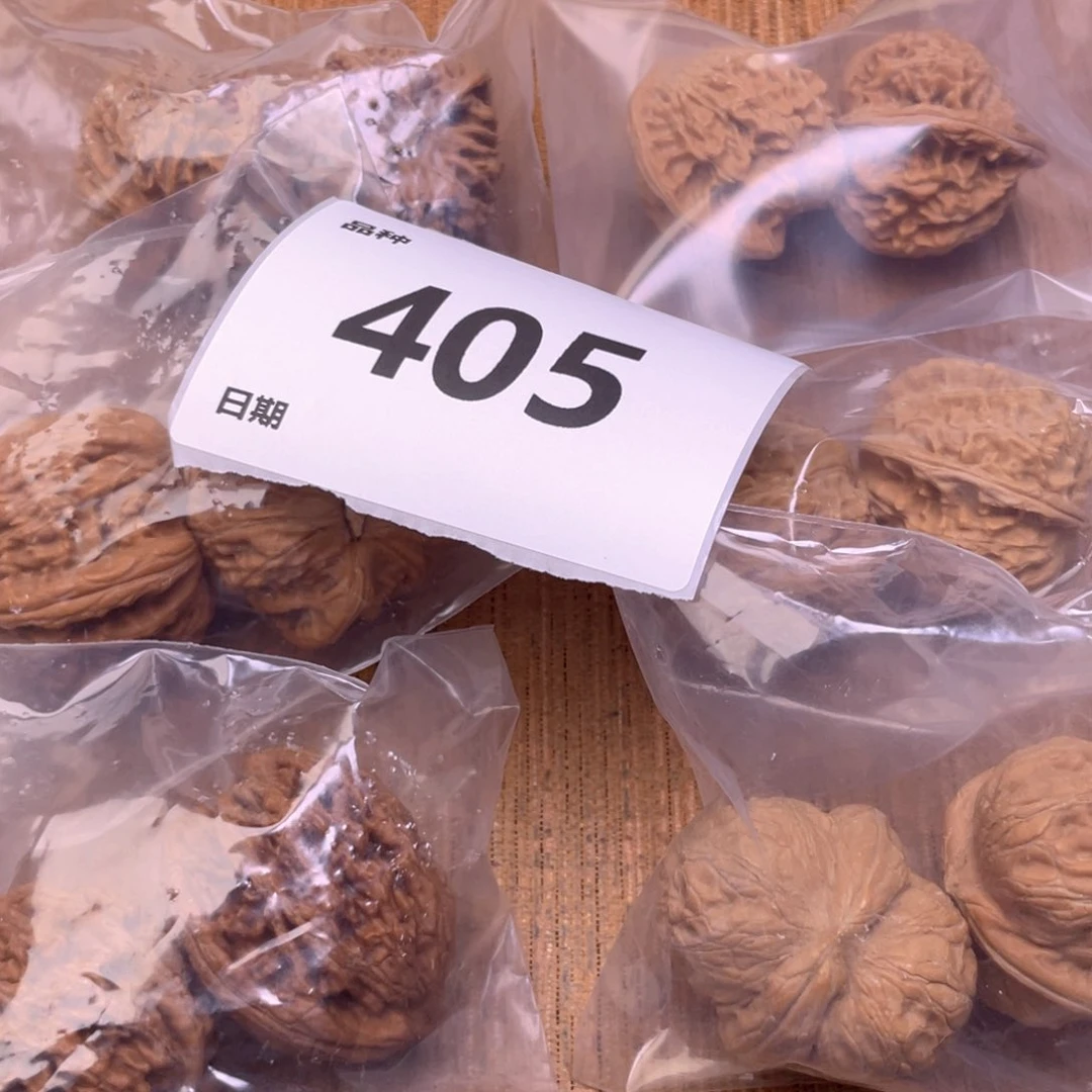文玩核桃把件405号6对带练手元宝