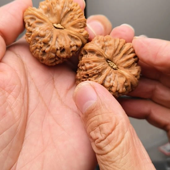 桃核把件全品无修南疆石狮子头文玩核桃