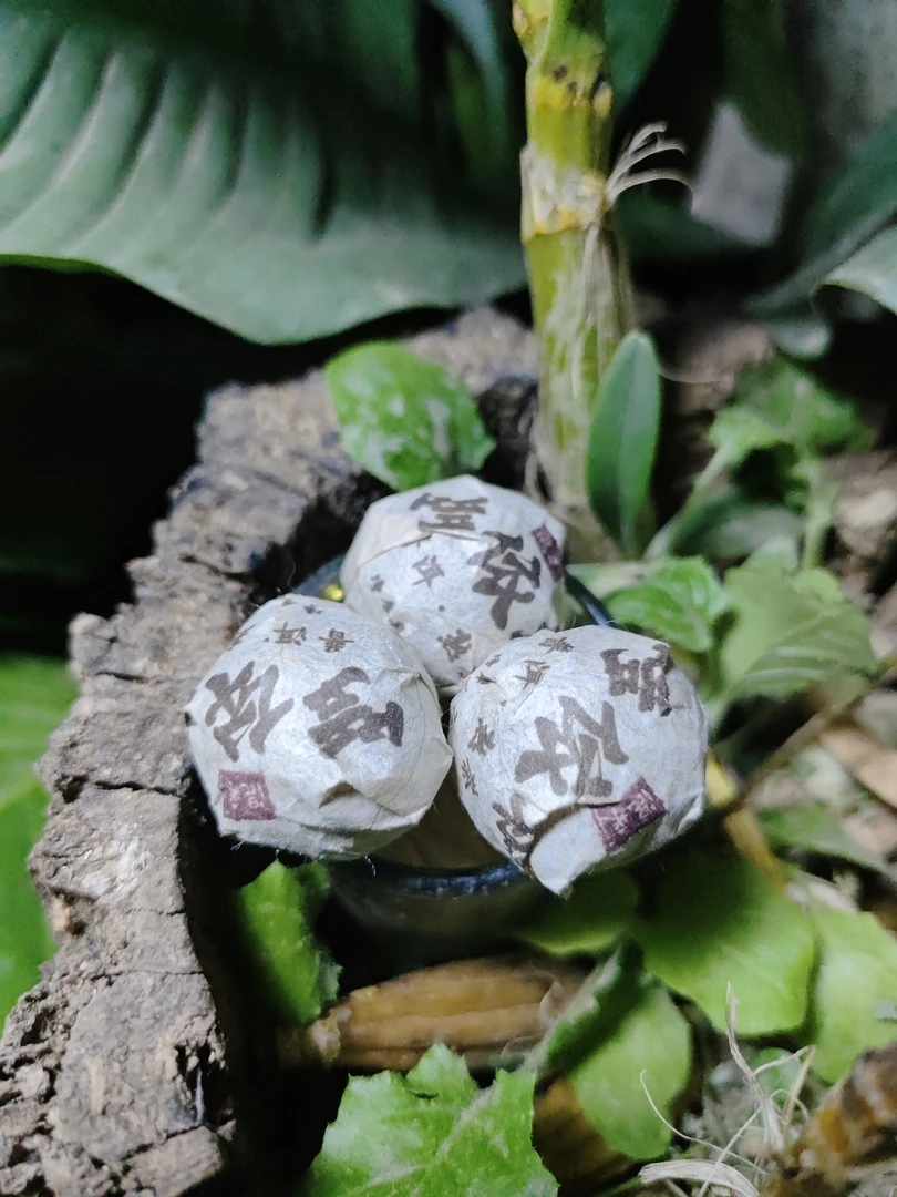 2018年哆依树 （熟）混采普洱熟茶龙珠M9号