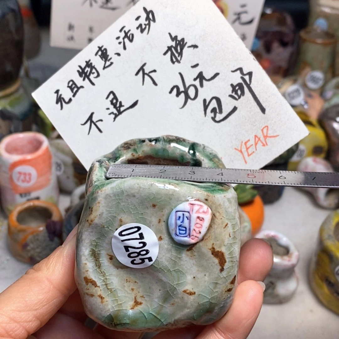 元旦特惠盆不退不换，原价48元一个