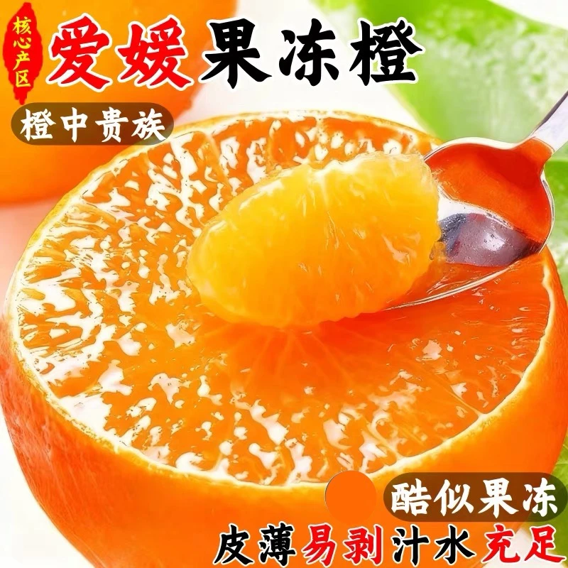 【大壮推荐】四川爱媛38号果冻橙新鲜应季水果现摘现发