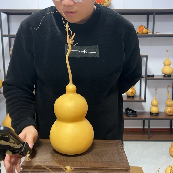 直播间主播赛胖墩