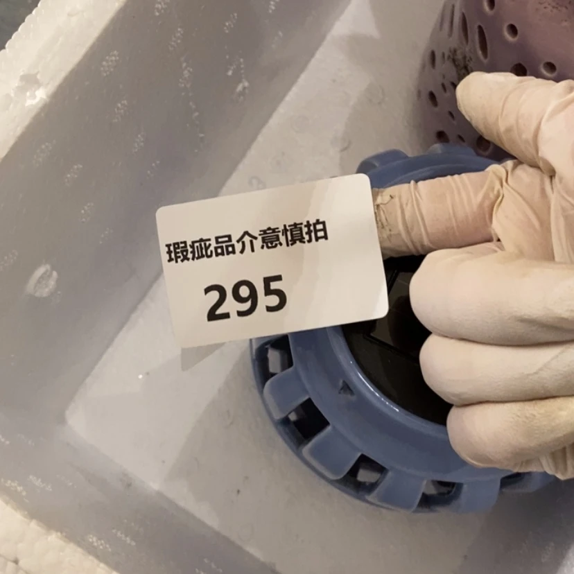 【闪购商品】摆件S*y陶瓷摆件瑕疵特卖