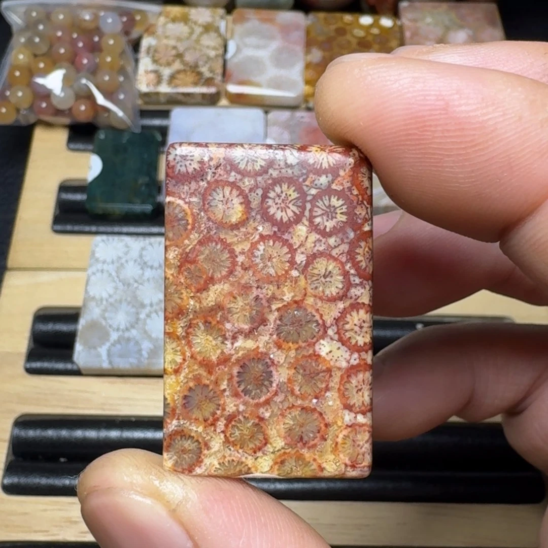 硅化珊瑚（珊瑚玉）纯天然色有机玉石未镶嵌