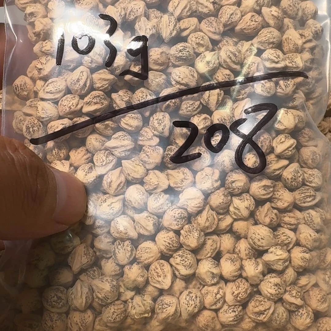 柏香籽/百香籽吊坠o****s