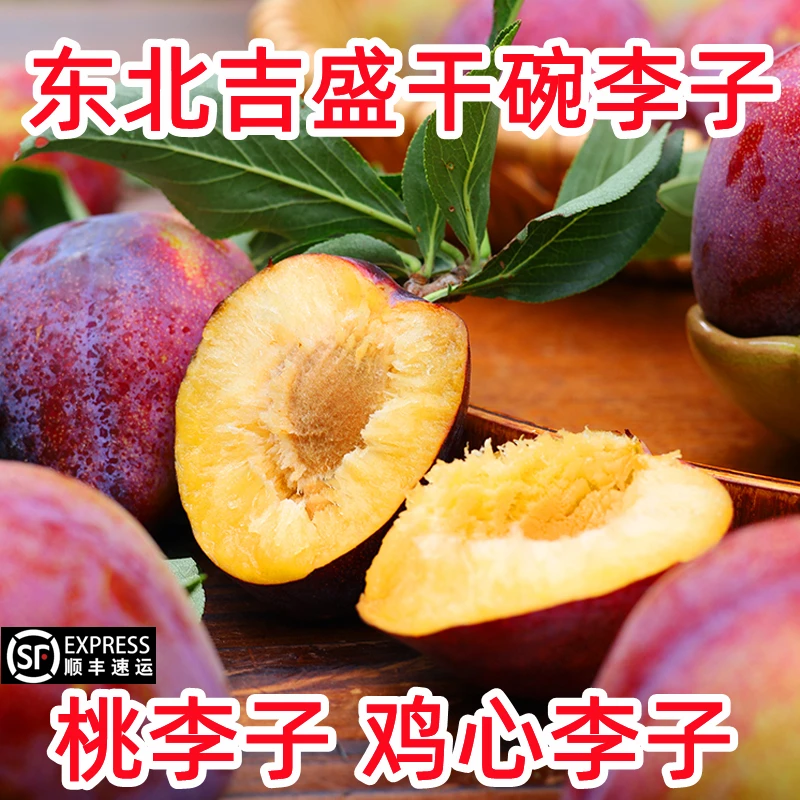 【爆甜】新鲜吉盛干核牛心李子吉林干碗桃李子东北特产水果一份包邮