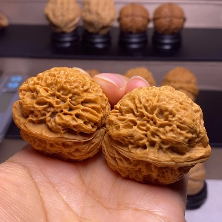 文玩核桃把件盘古大蛤蟆31