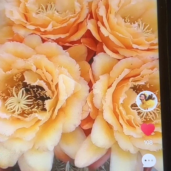 清清34侧牙瑕疵歪