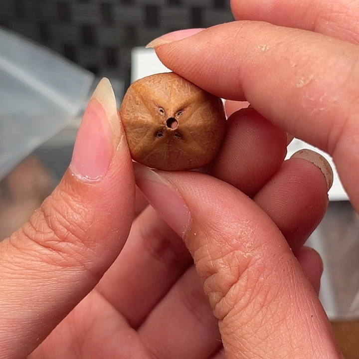 橄榄核手串/手链@****～橄榄