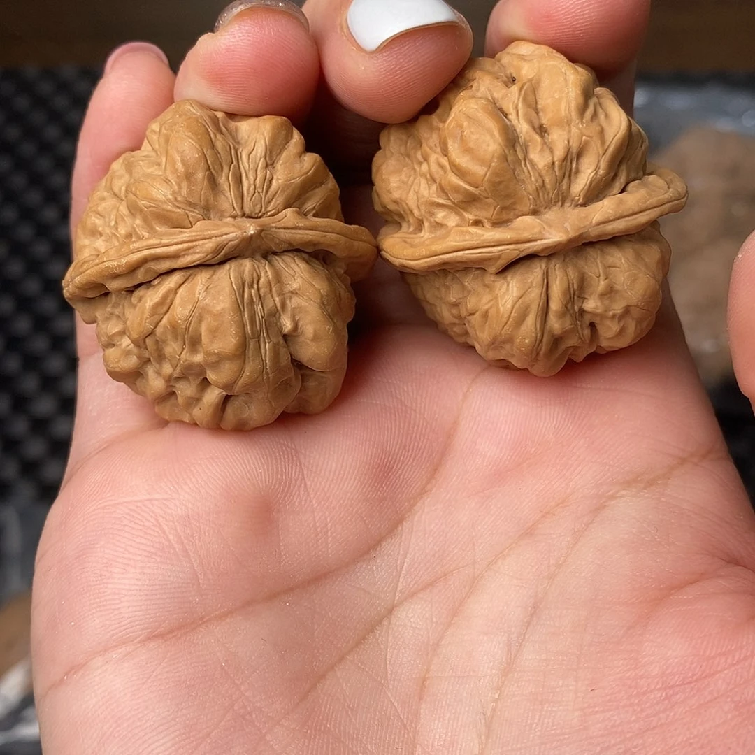 鹿***鸣文玩核桃把件全品蛤蟆头34