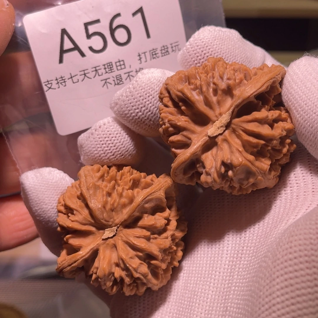 核桃手串/手链561号44满天星