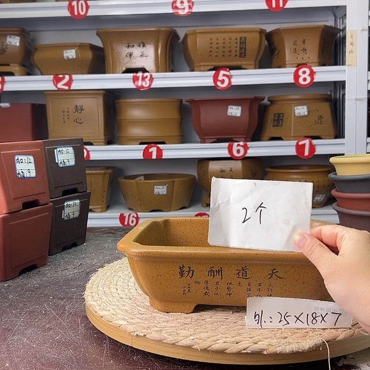 紫砂花盆蛇年大吉