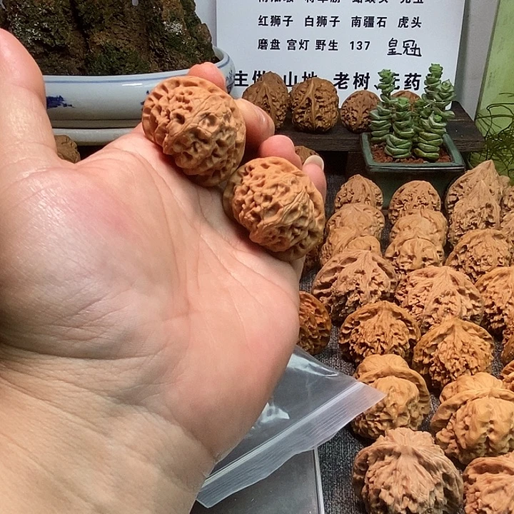 闲****核桃全品无修无药宫灯39
