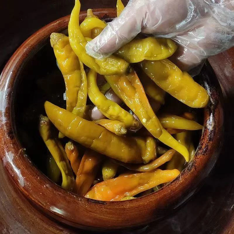 江西风味老坛酸水泡菜酸辣椒泡网红下饭菜青椒