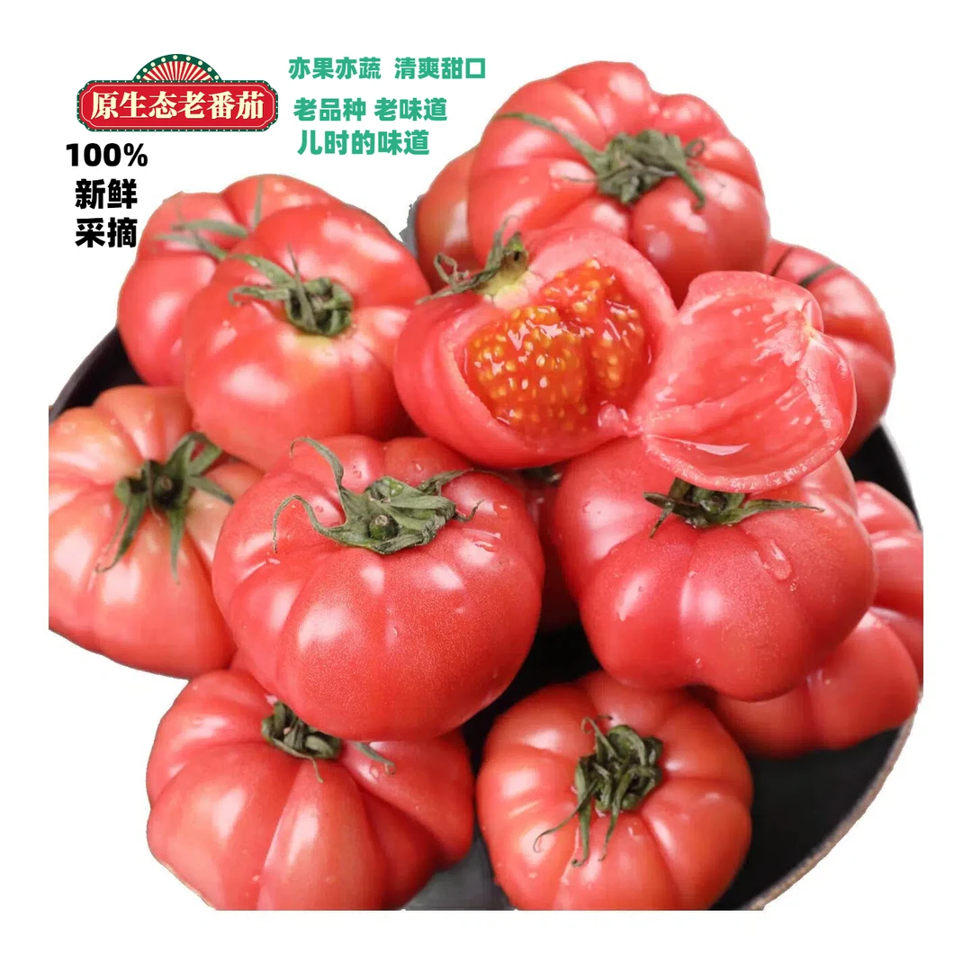 老品种西红柿老番茄沙瓤爆汁柿子新鲜现摘马蹄老品种高山蔬菜水果