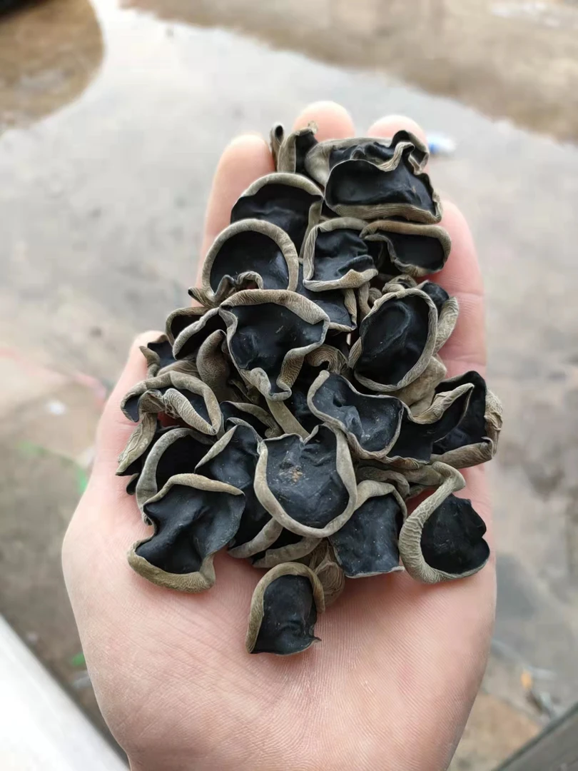 东北黑木耳小碗耳干货