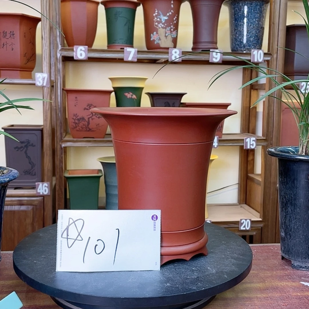 【闪购商品】紫砂花盆兰花455698855555