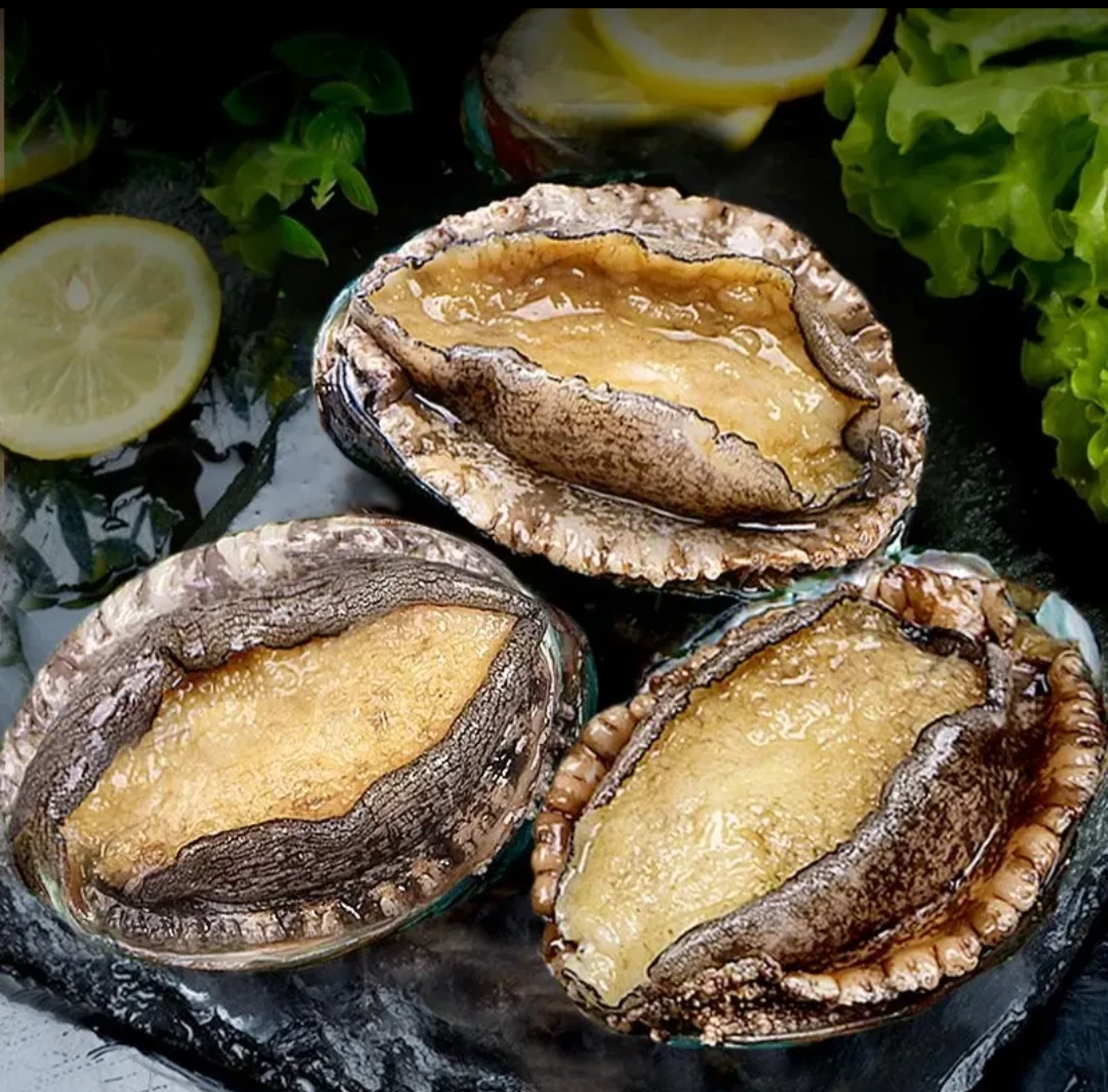 6-8头规格鲍鱼7CM左右到手18只海鲜水产活鲍捕捞速冻