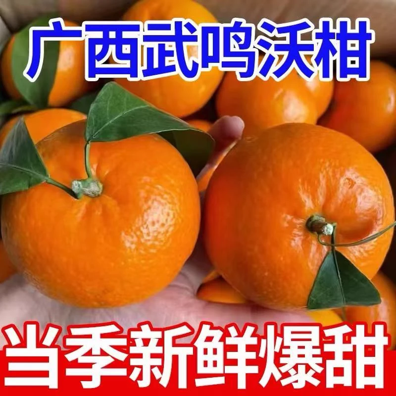 【坏果包赔】广西武鸣沃柑当季新鲜水果整箱包邮