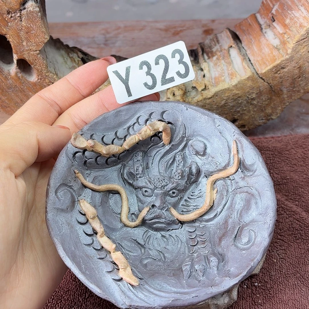 陶园柴烧，精品高货323纹