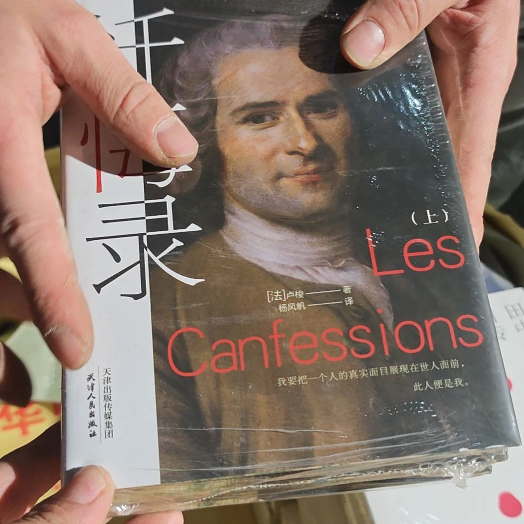 忏悔录上下册两本一套