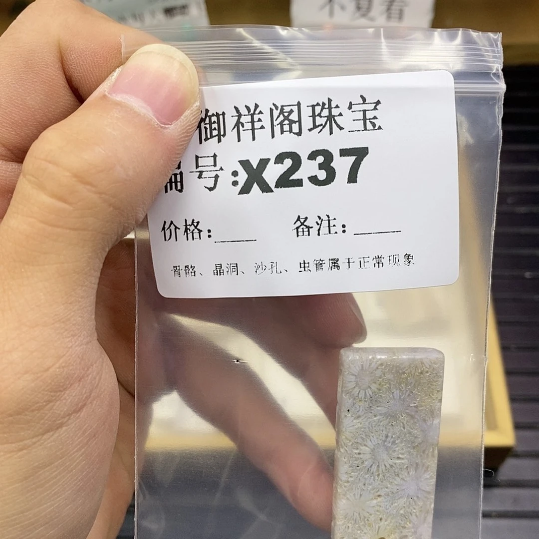 硅化珊瑚（珊瑚玉）未镶嵌颈饰y***~