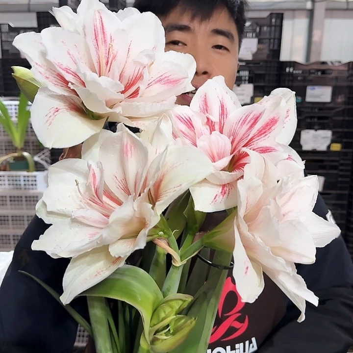 随机基地球一个，，，，，