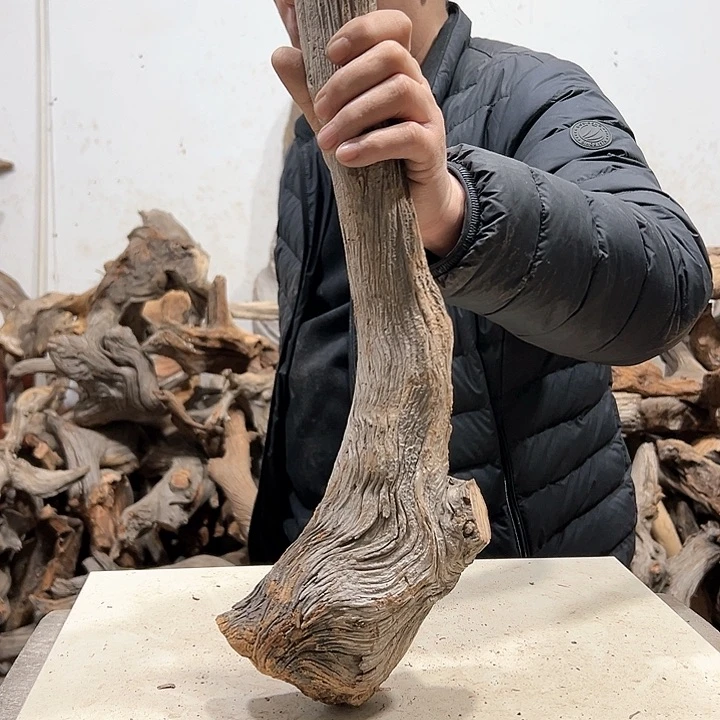 柏木安**得我们都是好孩子啊我的