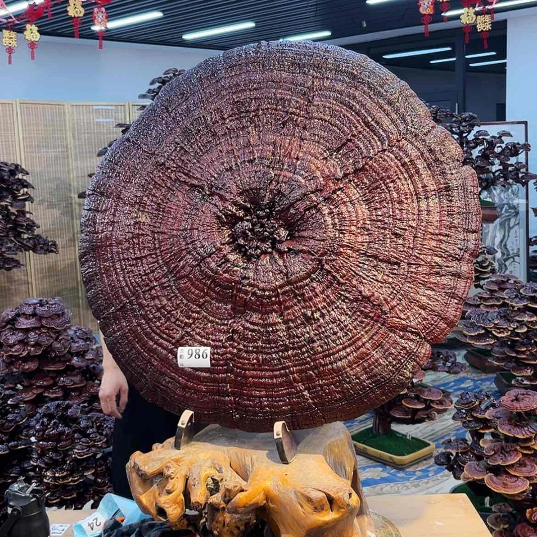 【闪购商品】88888