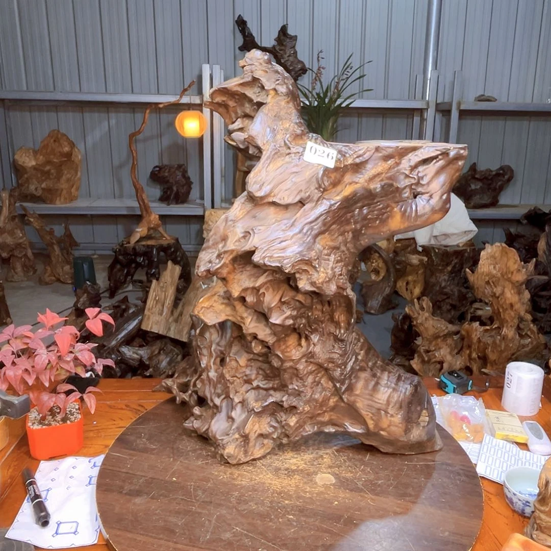 木周***，026/2dfjffgjdfhfddggh