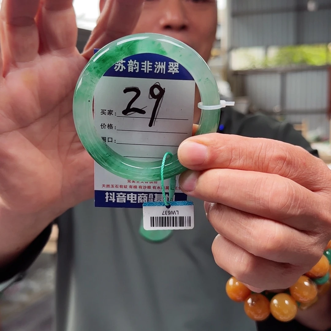 石英质玉（非洲翠）未镶嵌手镯58+