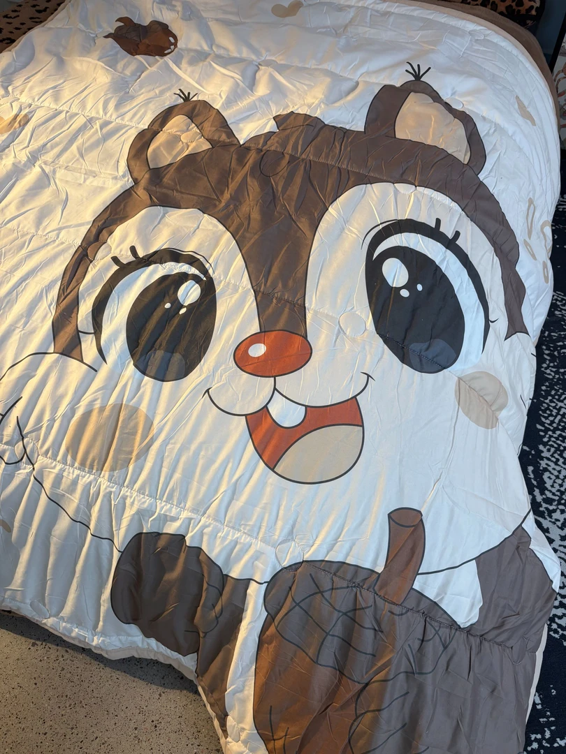 2025款老板娘推荐加厚松鼠被子