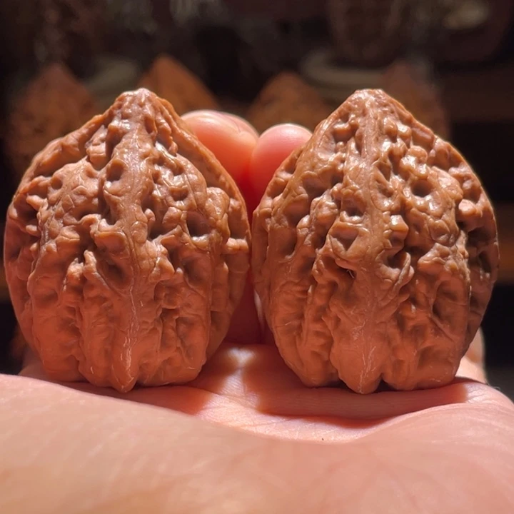 吊坠文玩核桃水晶珊瑚14