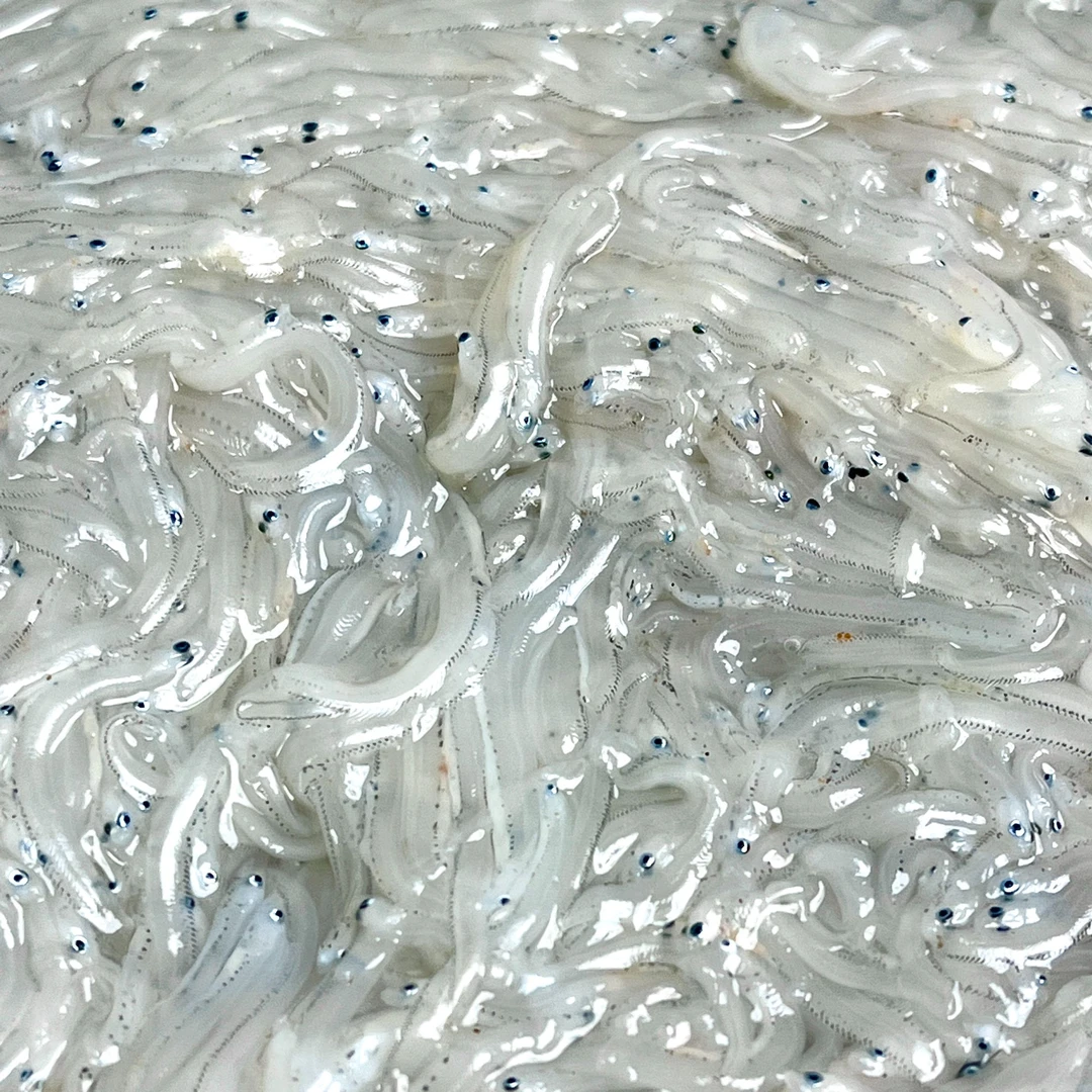 大连旅顺当地海鲜面条鱼25年新货小银顺丰冷冻发货