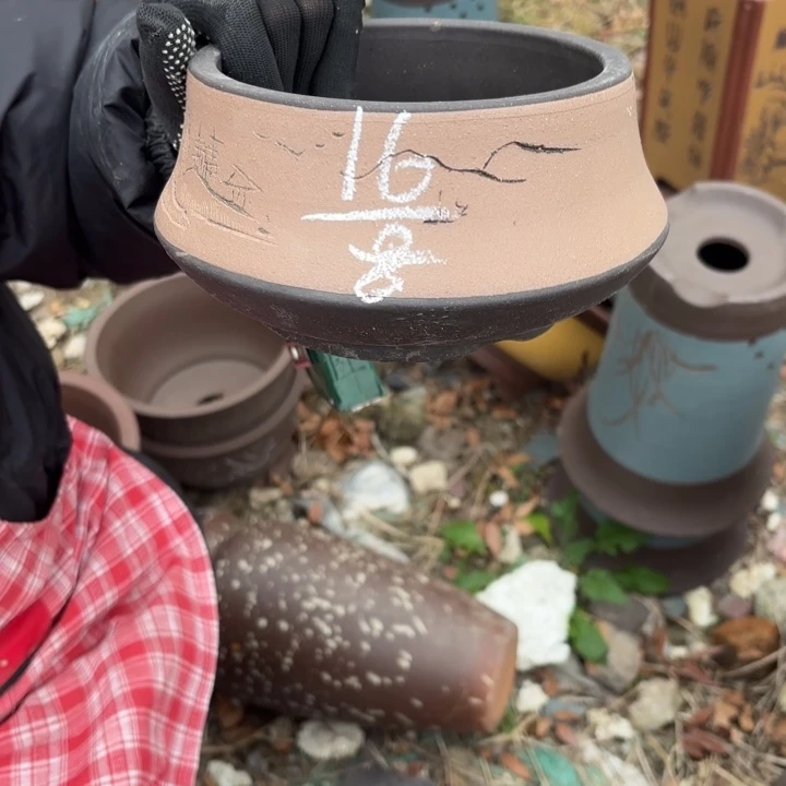 茶壶紫砂紫砂的颜色