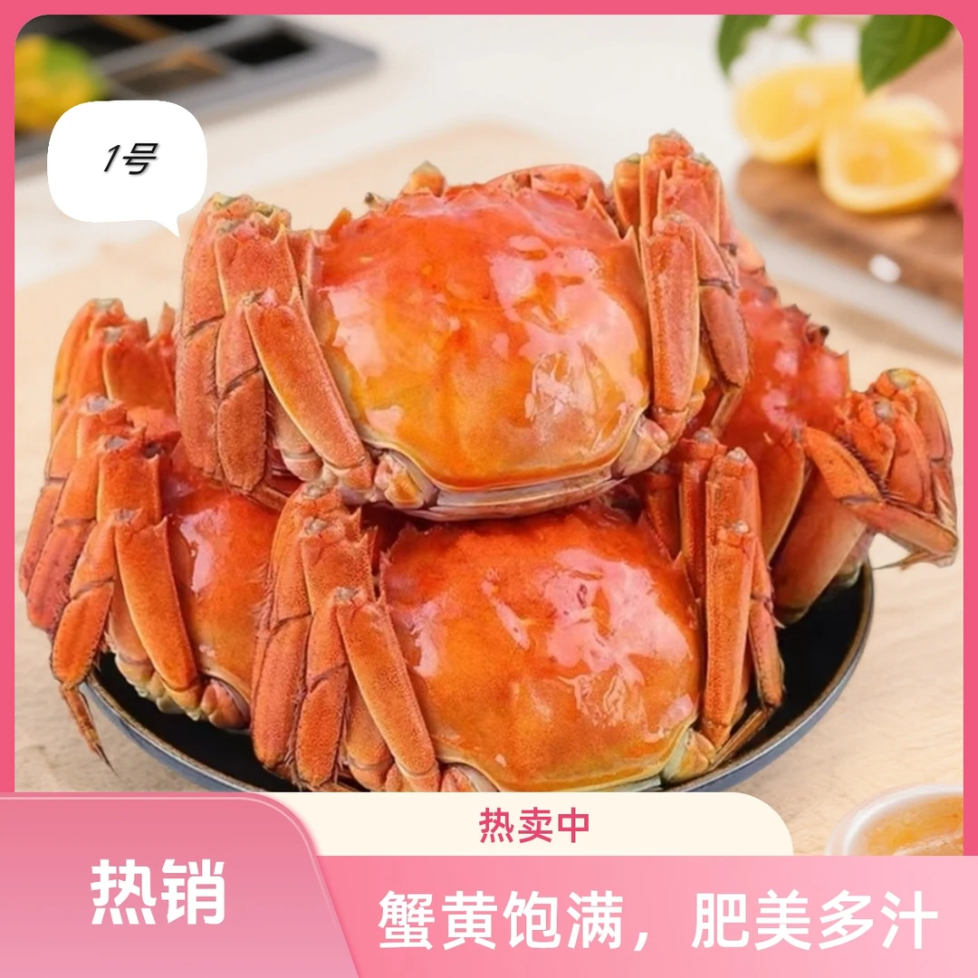 [活蟹]高淳精品河蟹纯母蟹2两/只现捞现发顺丰包邮8只装