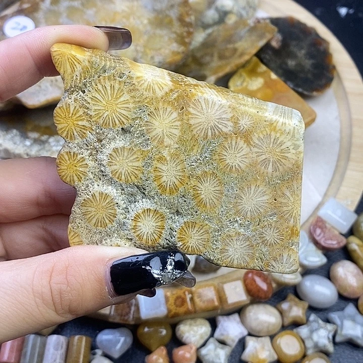 硅化玉未镶嵌颈饰