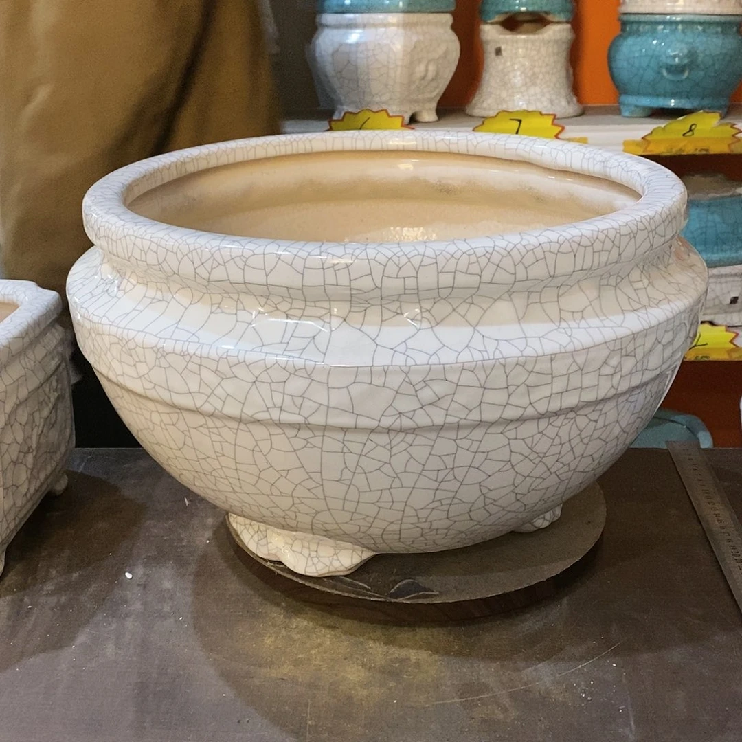 冷瑕疵花盆花盆里的花