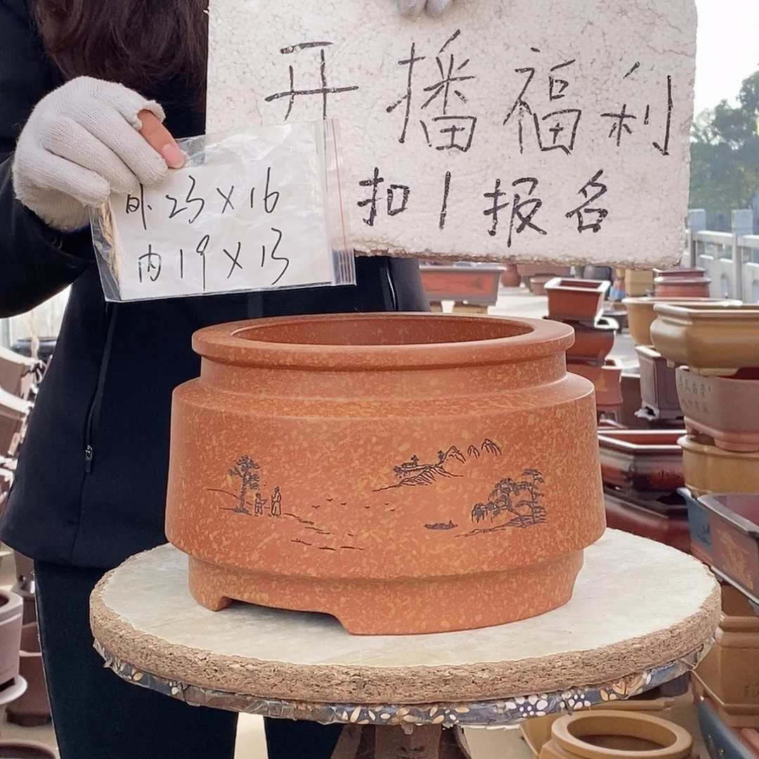 紫砂花盆紫砂花盆