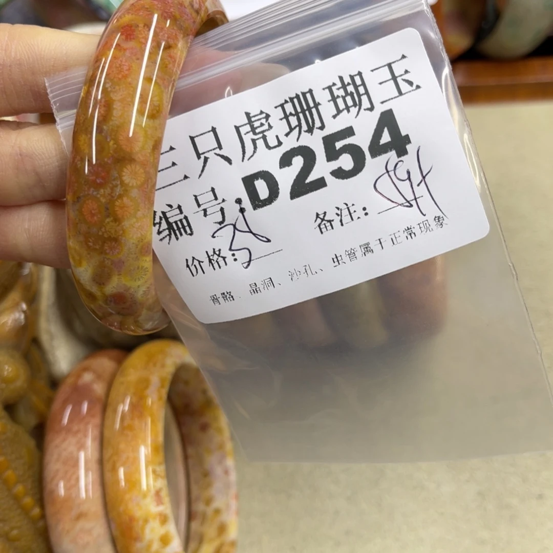 *****硅化珊瑚（珊瑚玉）未镶嵌h