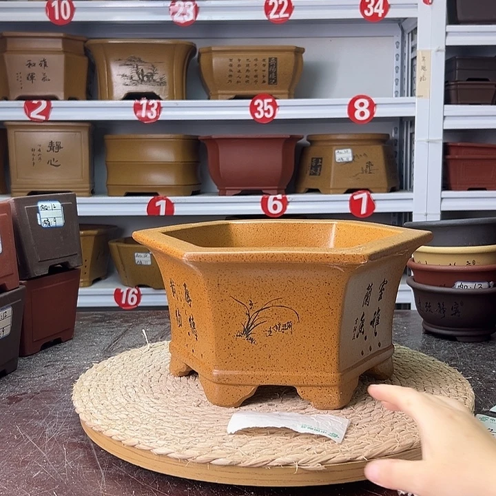 紫砂花盆蛇年大吉