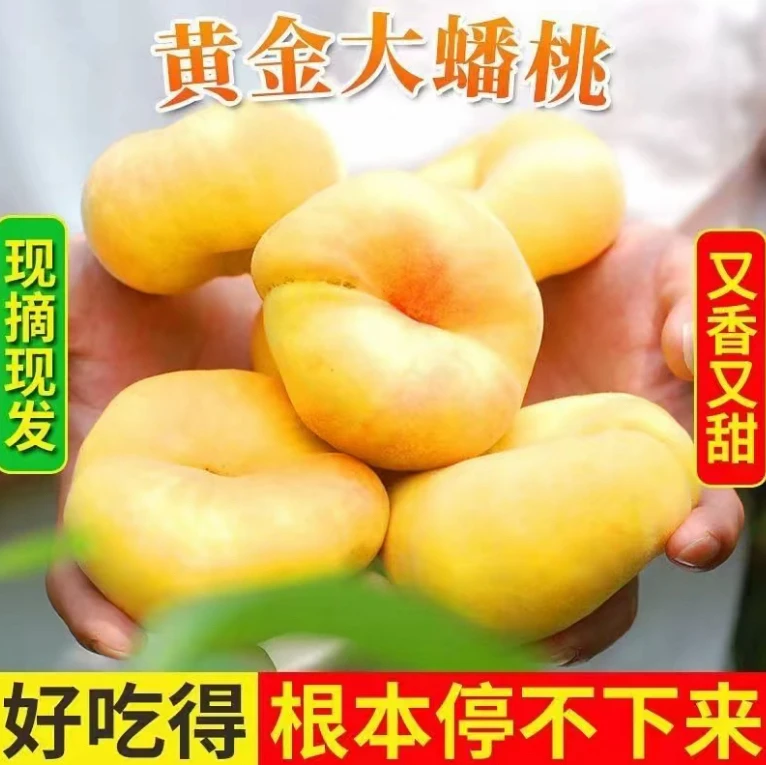 正宗蒙阴黄金毛潘桃皮薄肉厚产地直发现采水果现摘