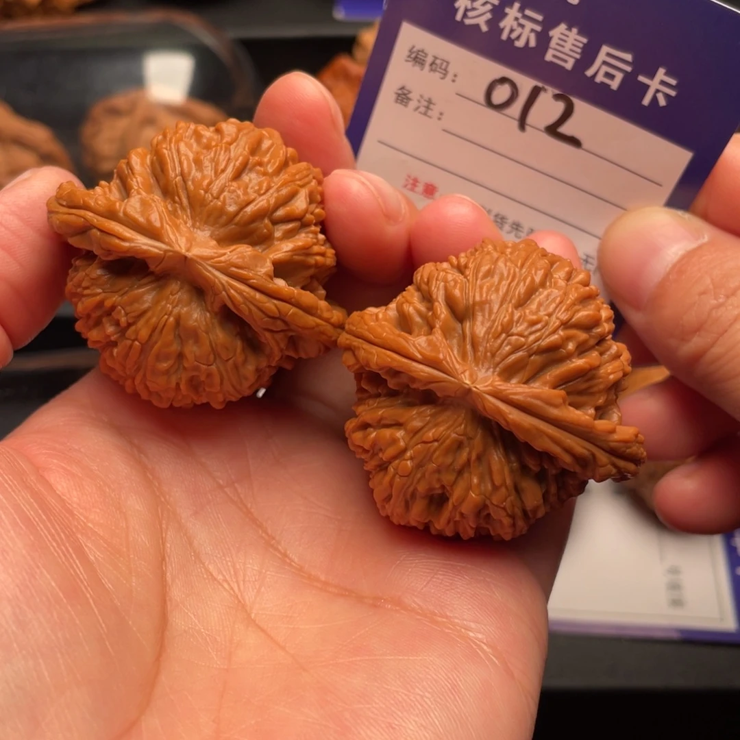 把件文玩核桃白狮子43尺全品012